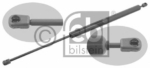 100019310 - 701829331R ΑΜΟΡΤΙΣΕΡ ΠΑΓΚΑΖ Τ4 AM E Καινούργιο Ανταλλακτικό