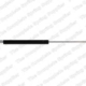 100043610 - 6Y0827550C ΑΜΟΡΤΙΣΕΡ 5ηs ΠΟΡΤΑΣ FABIA +COMBI E 6 100043610 - 6Y0827550C ΑΜΟΡΤΙΣΕΡ 5ηs ΠΟΡΤΑΣ FABIA +COMBI E Καινούργιο Ανταλλακτικό