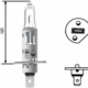 141458 - Z1/MT H1 12V 55W P14,5s STANDARD ΑΛΟΓΟΝΟΥ ΚΟΥΤ Καινούργιο Ανταλλακτικό