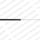 100040610 - 3B0823359B Αμορτισερ Καπω Εμπρος PASSAT AM Καινούργιο Ανταλλακτικό