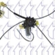 6U0837397 - 6U0837397 ΓΡΥΛΟΣ ΕΜΠΡΟΣ ΑΡΙΣΤΕΡΑ - ΟΔΗΓΟΥ ΗΛΕΚΤΡ.SKODA FELICIA -E ΓΝ. Καινούργιο Ανταλλακτικό