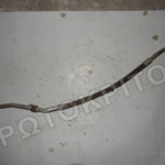 ΣΩΛΗΝΑΣ AC 6K0820721F