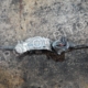 ΚΡΕΜΑΓΙΕΡΑ 1K1423051BK Μεταχειρισμένο