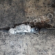 ΚΡΕΜΑΓΙΕΡΑ 1K1423051CN Μεταχειρισμένο
