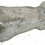 ΒΑΣΗ ΜΗΧΑΝΗΣ 1H0199354E